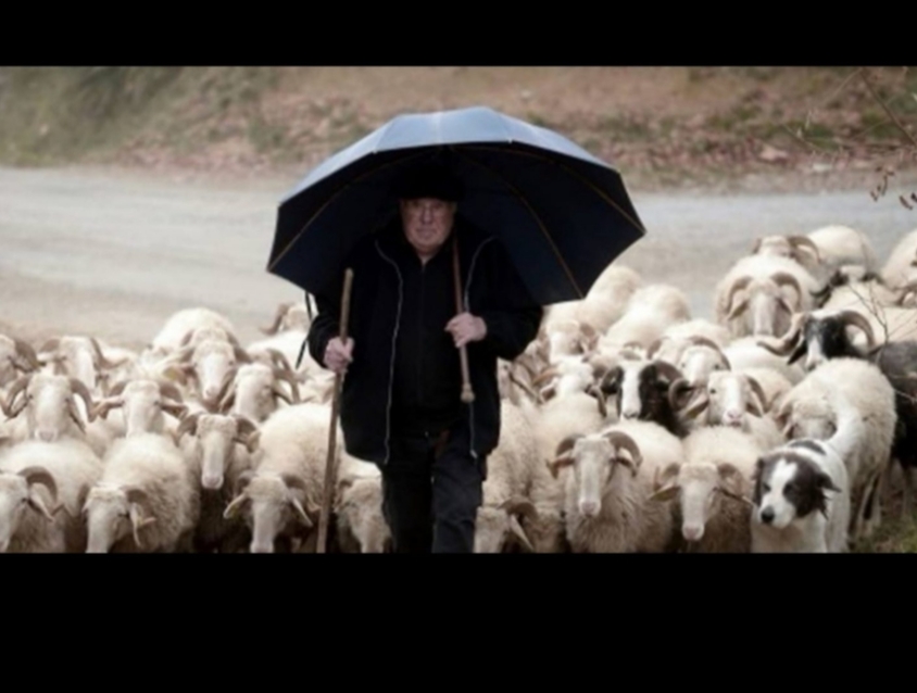 Paraguas artesanales_ tradición centenaria y estilo único